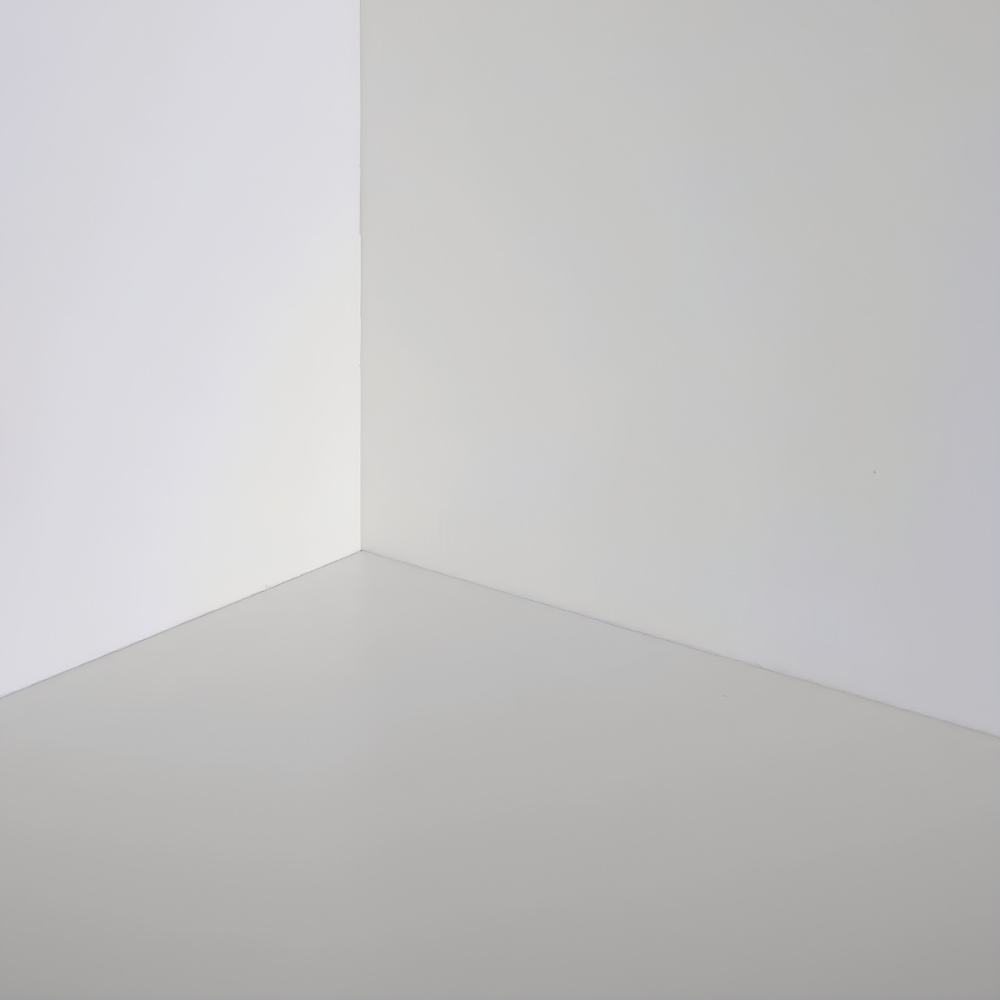 Fissativo bonificante sanificante biofix barriera protettiva antimuffa antialga *** formato 5 lt, confezione 1