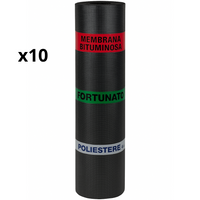 Guaina bituminosa poliestere 4 mm impermeabilizzante casasciutta 10 rotoli 1x10 m