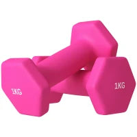 Set 2 Manubri 2x1 kg Esagonali e Antiscivolo per Casa e Palestra, in Metallo e Plastica, 13x5x5 cm, Rosa