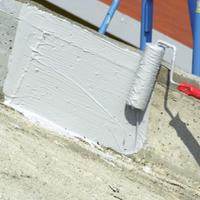 Guaina liquida impermeabilizzazione protezione riparazione balcone tetto bianca *** formato 18 kg, confezione 1