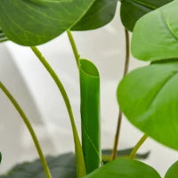 Monstera Pianta Artificiale per Interno ed Esterno, Pianta Finta Realistica con 20 Foglie, 120cm