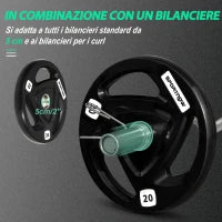Set di 2 Dischi Pesi da 20kg in Acciaio con Rivestimento in Gomma per Bilanciere