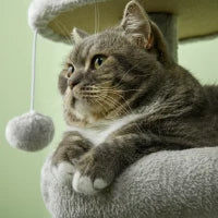 Tiragraffi per Gatti in Truciolato con Palo in Sisal, Casetta e Posatoi, 65x30x104 cm, Grigio Chiaro