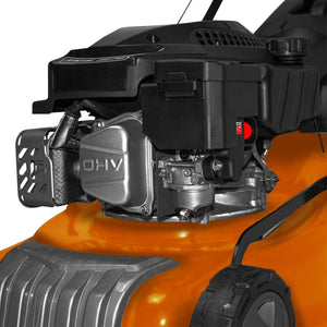 Tagliaerba semovente motore scoppio 145cc 3KW OHV 4 Tempi mulching pacciamatura ampiezza taglio 400mm.