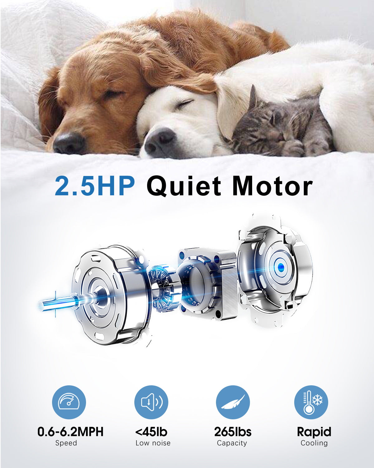 Tapis Roulant Elettrico 10 km/h - RATTANTREE - Walking Pad,Tappeto Corsa Extra Large 42CM, con telecomando e display LCD,Telaio rinforzato - Nero