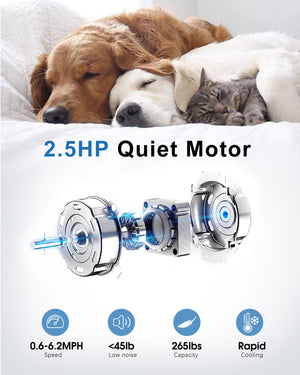 Tapis Roulant Elettrico 10 km/h - RATTANTREE - Walking Pad,Tappeto Corsa Extra Large 42CM, con telecomando e display LCD,Telaio rinforzato - Nero