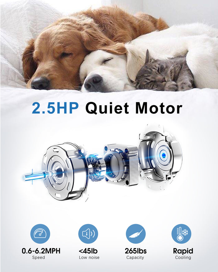 Tapis Roulant Elettrico 10 km/h - RATTANTREE - Walking Pad,Tappeto Corsa Extra Large 42CM, con telecomando e display LCD,Telaio rinforzato - Nero