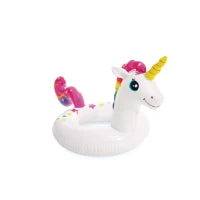 59221NP - Salvagente Animali Assortiti