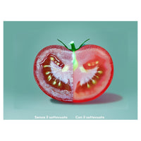 Trade Shop - Kit 20pz Sacchetti Sottovuoto 25x35cm Per Congelatore Frigorifero Microonde Cottura -