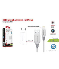 Kit Caricabatterie Caricatore Cavo Usb Lightning Iphone 1a 5w 1mt Ca-s041 Ricarica         