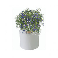 Kit Coltivazione Fiori di Lobelia, con vaso in metallo, terriccio e semi