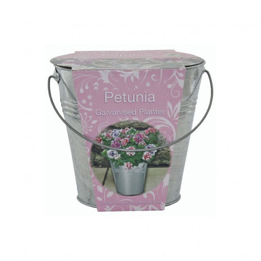Kit Coltivazione Fiori di Petunia, con vaso in metallo, terriccio e semi