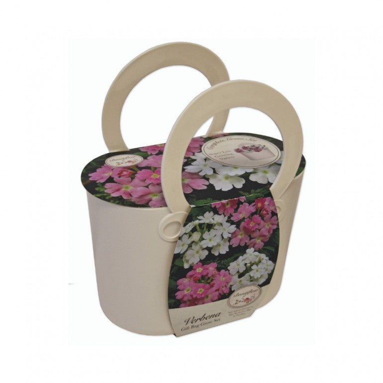 Kit Coltivazione Fiori di Verbena, con vaso in plastica Bianco, terriccio e semi