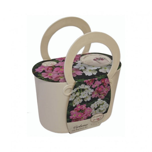 Kit Coltivazione Fiori di Verbena, con vaso in plastica Bianco, terriccio e semi