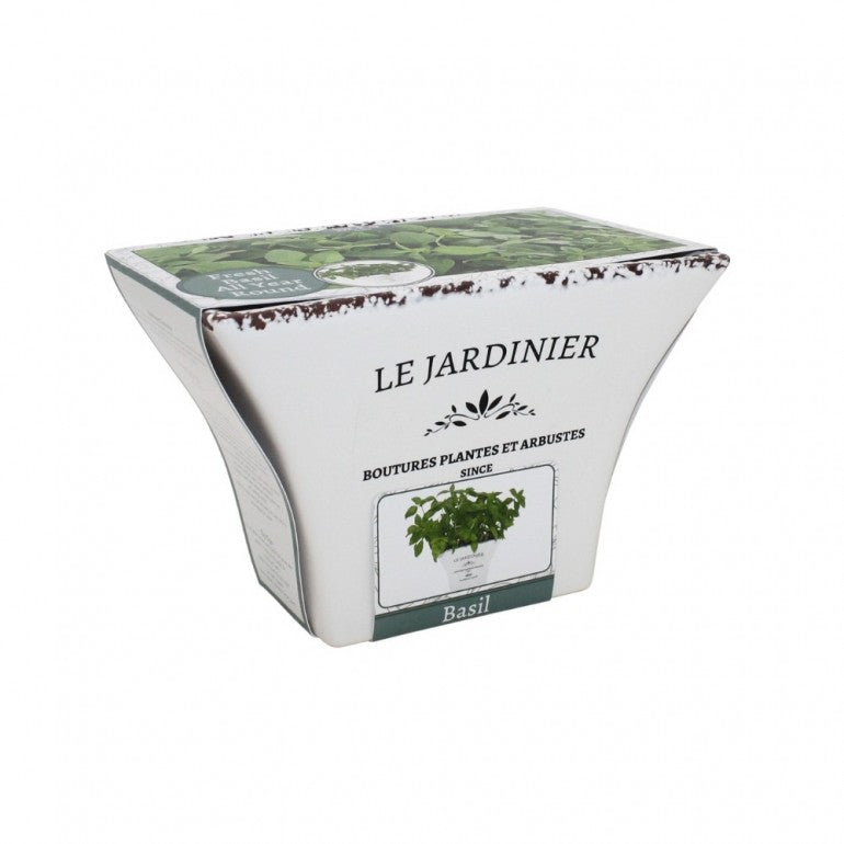 Kit Coltivazione per il Basilico, con vaso in ceramica, terriccio e semi