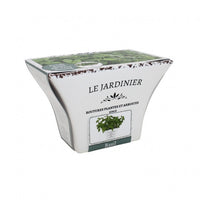 Kit Coltivazione per il Basilico, con vaso in ceramica, terriccio e semi