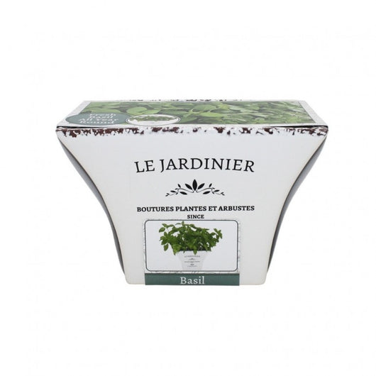 Kit Coltivazione per il Basilico, con vaso in ceramica, terriccio e semi
