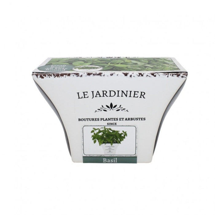 Kit Coltivazione per il Basilico, con vaso in ceramica, terriccio e semi