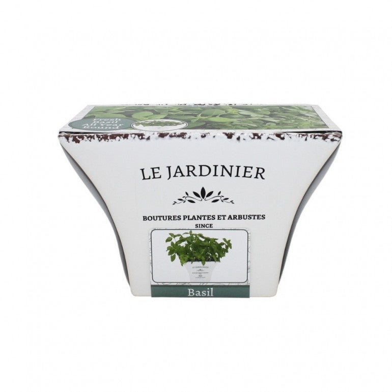 Kit Coltivazione per il Basilico, con vaso in ceramica, terriccio e semi