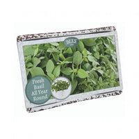 Kit Coltivazione per il Basilico, con vaso in ceramica, terriccio e semi