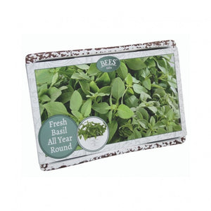 Kit Coltivazione per il Basilico, con vaso in ceramica, terriccio e semi