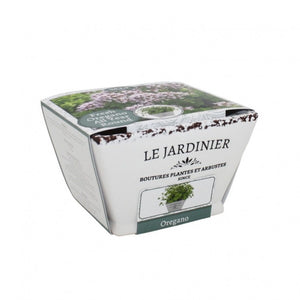 Kit Coltivazione per l'Origano, con vaso in ceramica, terriccio e semi