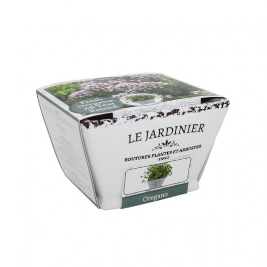 Kit Coltivazione per l'Origano, con vaso in ceramica, terriccio e semi