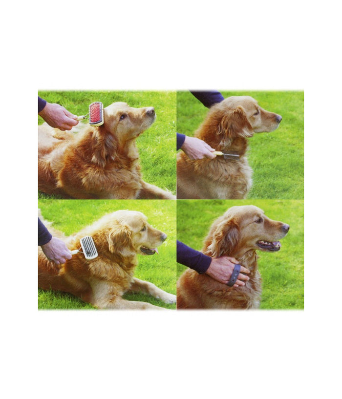 Kit Delle Coccole 3 Pz Di Spazzole Per La Pulizia E La Cura Del Cane         