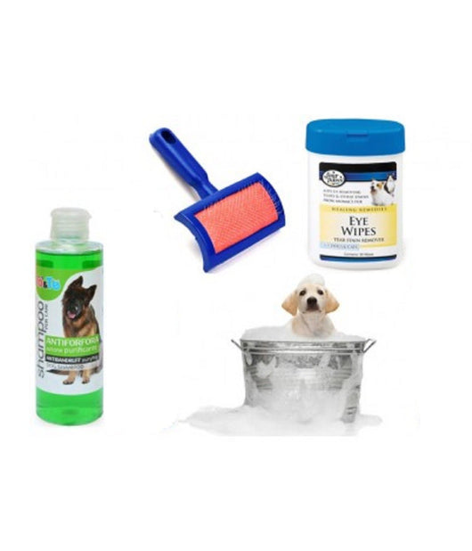 Kit Pulizia Cani Shampoo Azione Purificante Salviettine Spazzola Cardatore Antiforfora         