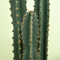Cactus Artificiale Realistico di Grandi Dimensioni, Ø 18 x 120H cm, Verde