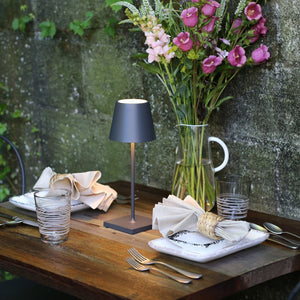 Lampada a led da tavolo Poldina Pro Mini Grigio Scuro ricaricabile e dimmerabile con batteria fino a 12 ore