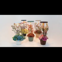 Lampada a led da tavolo Poldina Reverso Bianco ricaricabile e dimmerabile con batteria fino a 12 ore. Da esterno IP65