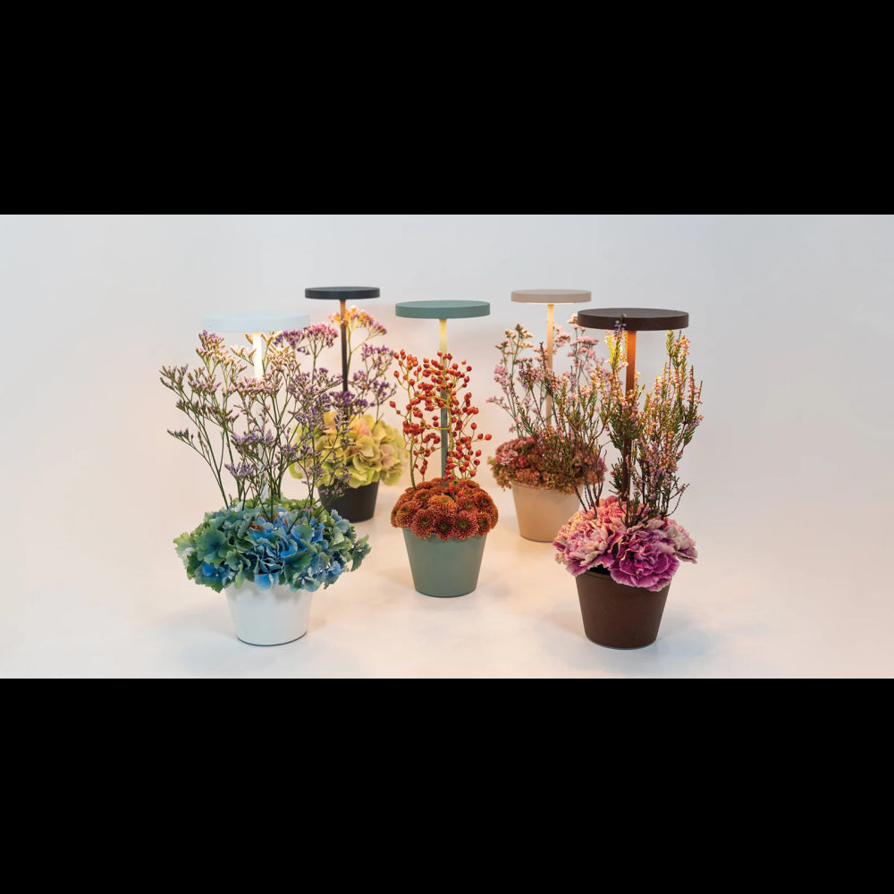 Lampada a led da tavolo Poldina Reverso Verde Salvia ricaricabile e dimmerabile con batteria fino a 12 ore. Da esterno IP65