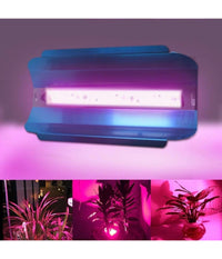 Lampada Da Coltivazione Luce Led Smd Crescita Piante Serra Esterno 50w Ip65 220v         