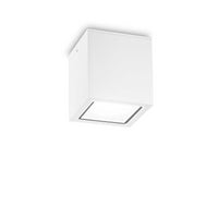 Lampada Da Soffitto Techo Pl1 Big Bianco Ideal-Lux