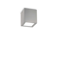 Lampada Da Soffitto Techo Pl1 Small Grigio Ideal-Lux