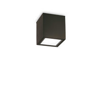 Lampada Da Soffitto Techo Pl1 Small Nero Ideal-Lux