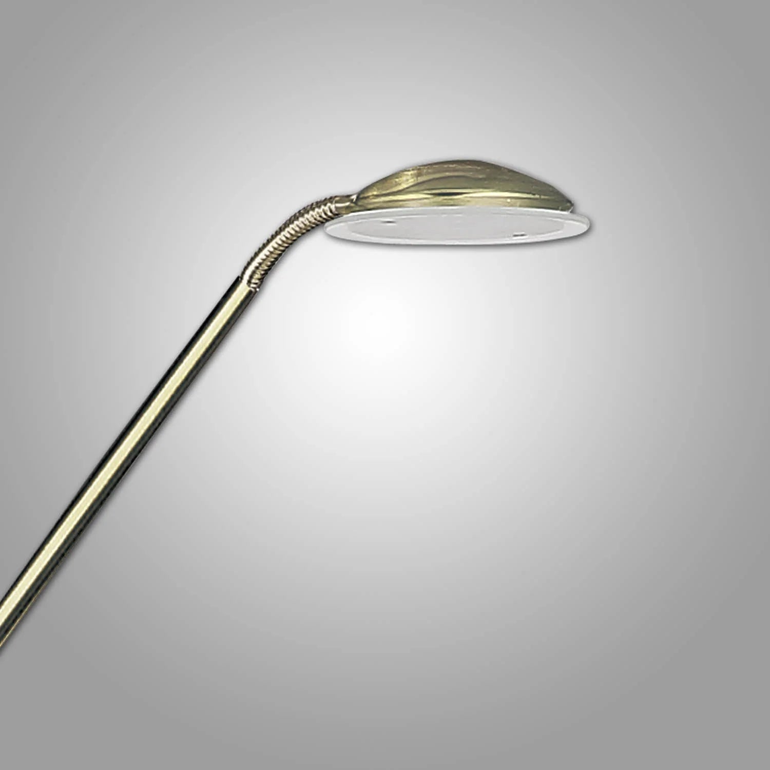 LÚZETE - LAMPADA DA TERRA A LED MAXIMO 5W PAVÓN