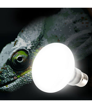 Lampada Giorno Rettili Tartarughe Terrario 50w Animali Luce Solare Raggi Uva Uvb         