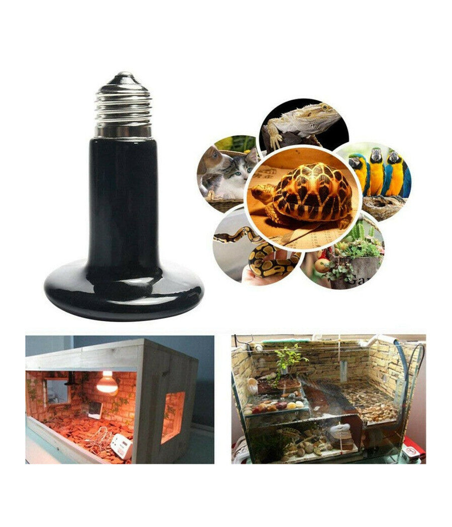 Trade Shop - Lampada Lampadina Ceramico Rettili Tartarughe Riscaldante Luce E27 50w Nd-01 -