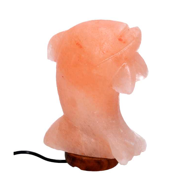 Lampada sale base legno delfino con attacco cm16x7h23