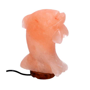 Lampada sale base legno delfino con attacco cm16x7h23