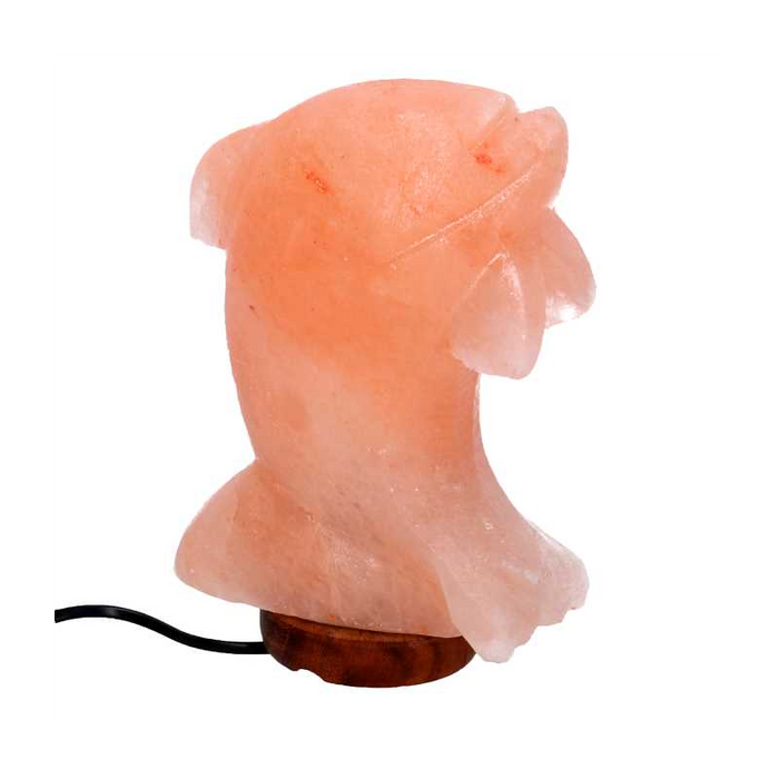 Lampada sale base legno delfino con attacco cm16x7h23