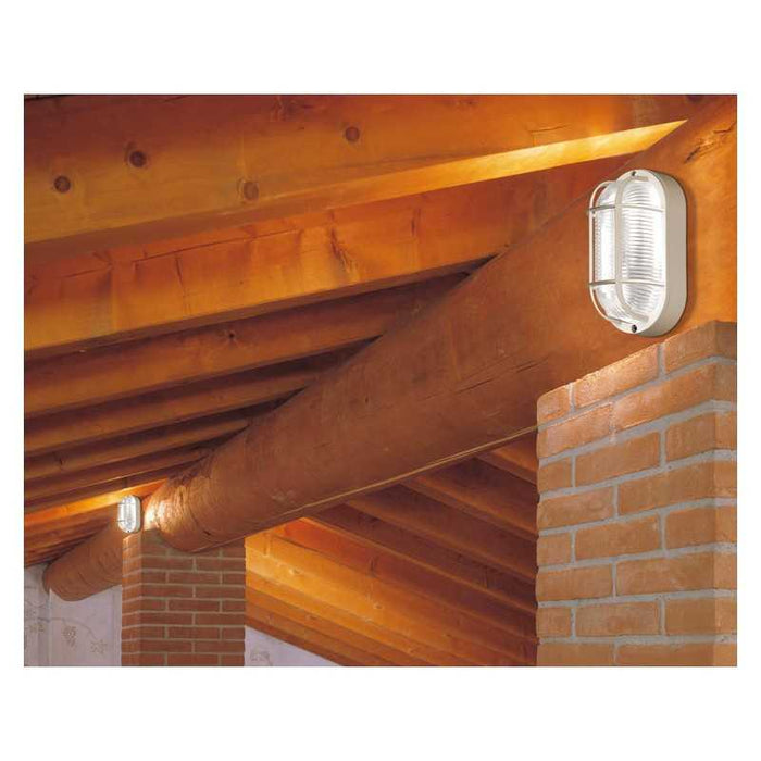 Lampada Tartaruga Ovale