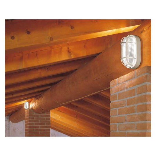 Lampada Tartaruga Ovale