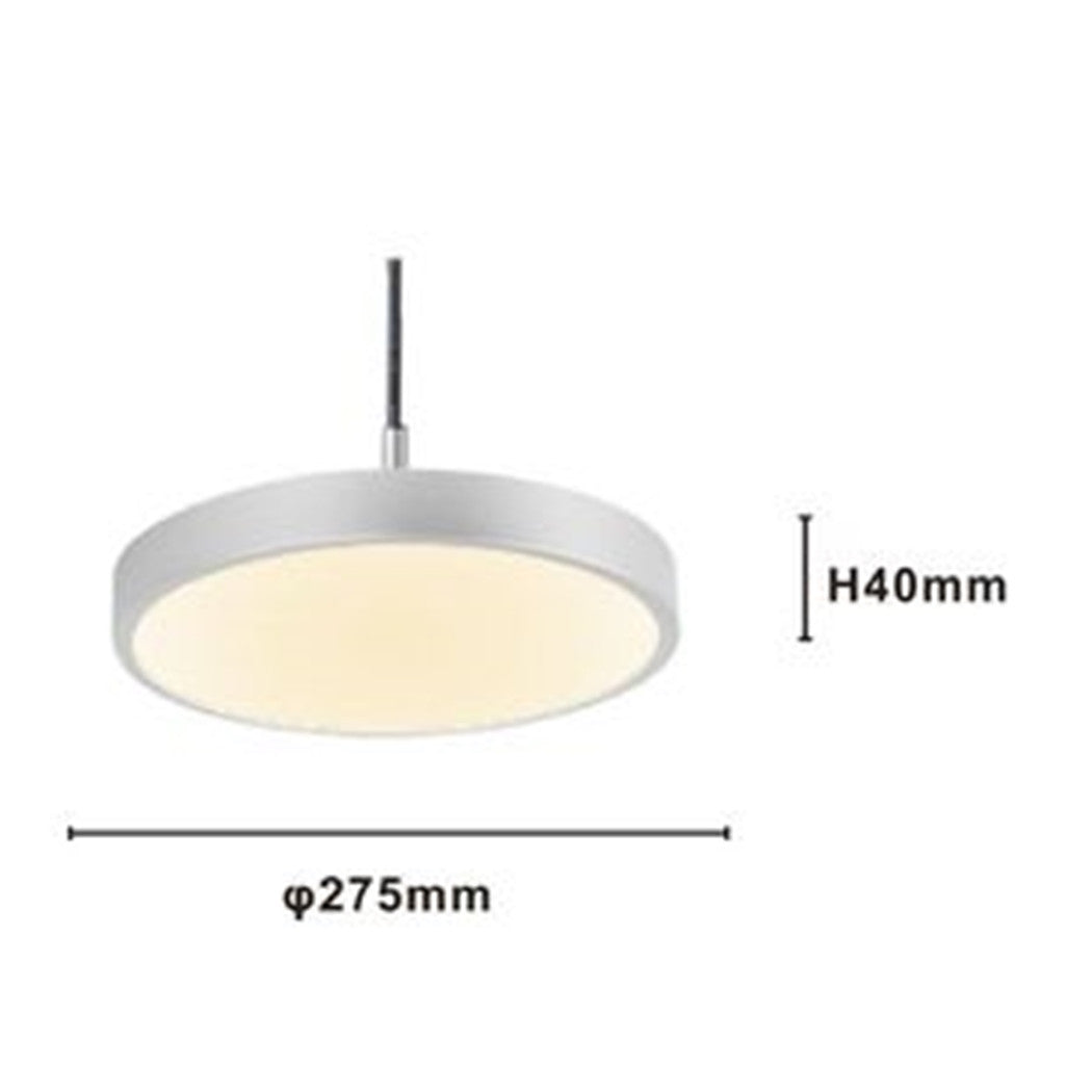 Trade Shop - Lampadario A Sospensione Led 40w Argento Cerchio Tondo Moderno Minimal Luce 4000k 32934         