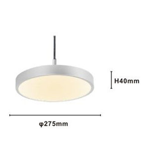 Trade Shop - Lampadario A Sospensione Led 40w Argento Cerchio Tondo Moderno Minimal Luce 4000k 32934         
