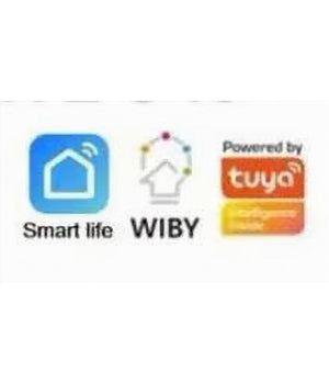 Lampadina Intelligente Smart G45 E14 5.5w 350lm Wifi Led Rgb Cct Dimmerabile App         