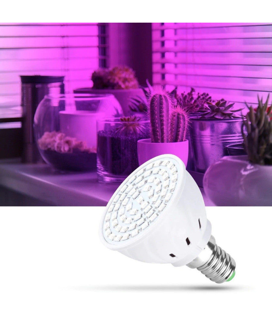Lampadina Led Smd Lampada 2w Per Coltivazione Piante Fiori Idroponica E14 E27        -e14-
