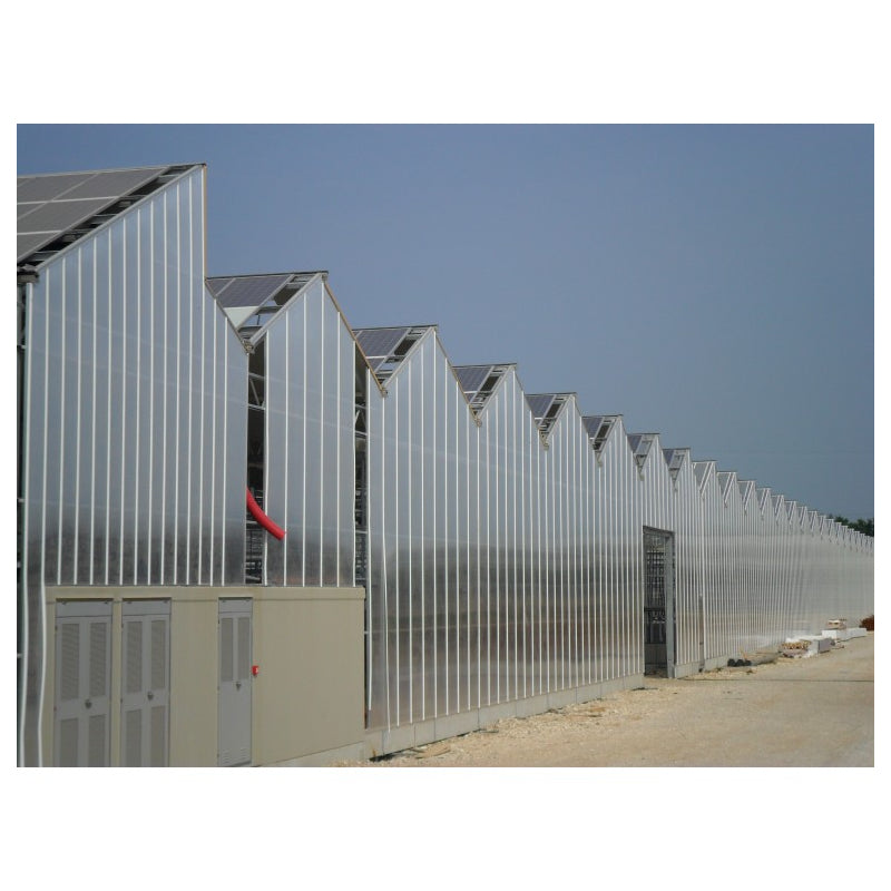 Lastra Policarbonato Alveolare 4 mm Trasparente 2 pezzi 2000 x 1050 mm